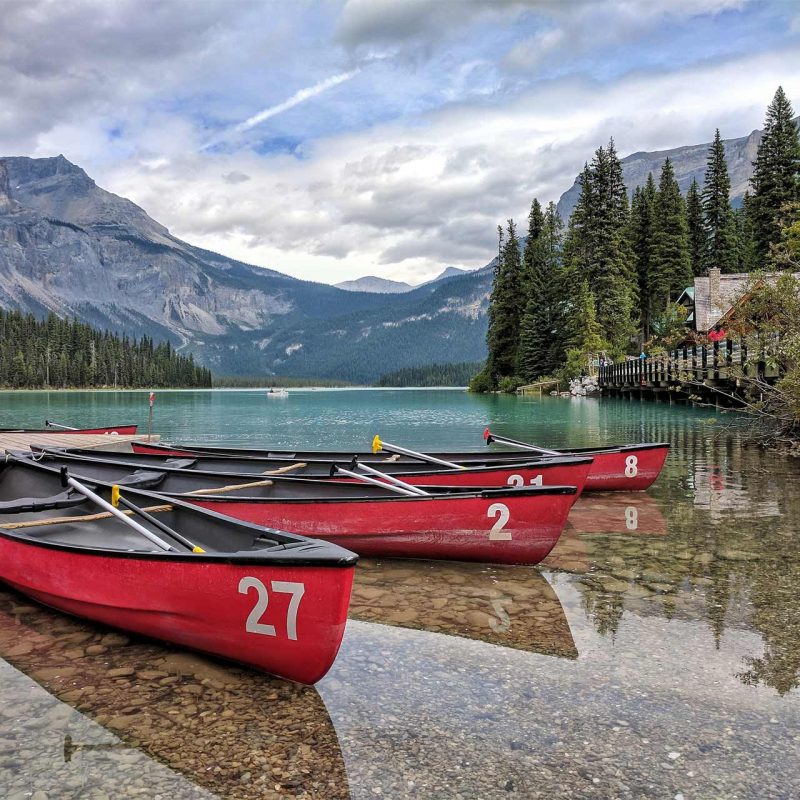 Our Kayak Boat Tour is Just for You